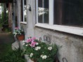 /album/kuvagalleria/img-4454-jpg/