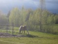 /album/kuvagalleria/img-4116-jpg/