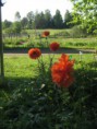 /album/kuvagalleria/img-4768-jpg/