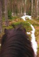 /album/kuvagalleria/img-6334-jpg/