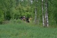/album/kuvagalleria/img-0166-jpg/