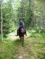 /album/kuvagalleria/img-6662-jpg/