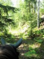 /album/kuvagalleria/img-6693-jpg/