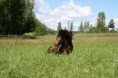 /album/kuvagalleria/img-0012-jpg/